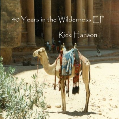 40 YEARS IN THE WILDERNESS EP (CDR)