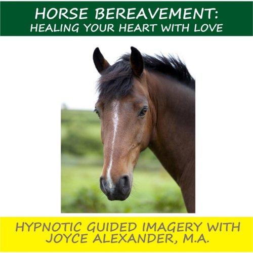 HORSE BEREAVEMENT HEALING YOUR HEART WITH LOVE