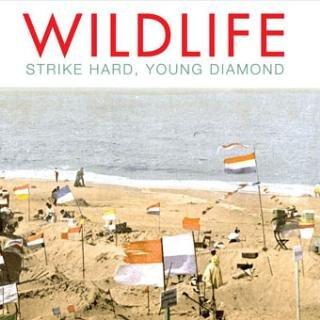 STRIKE HARD YOUNG DIAMOND (CAN)
