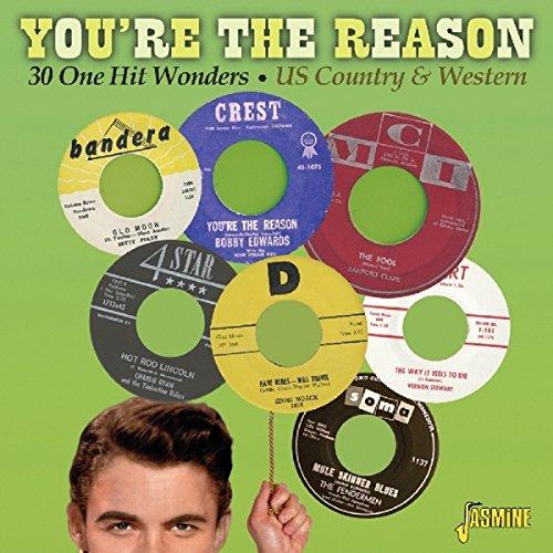 YOU'RE THE REASON: 30 ONE HIT WONDERS / VARIOUS