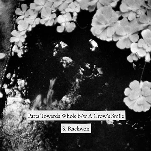 PARTS TOWARDS WHOLE / A CROWDS SMILE