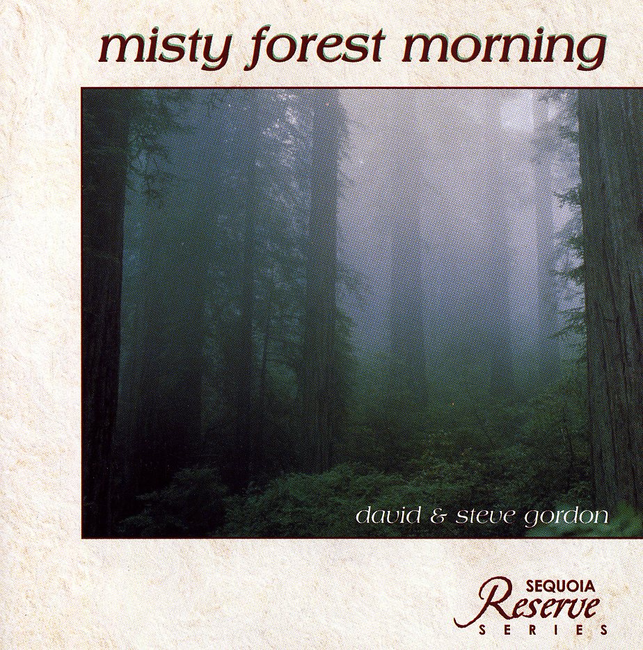 MISTY FOREST MORNING