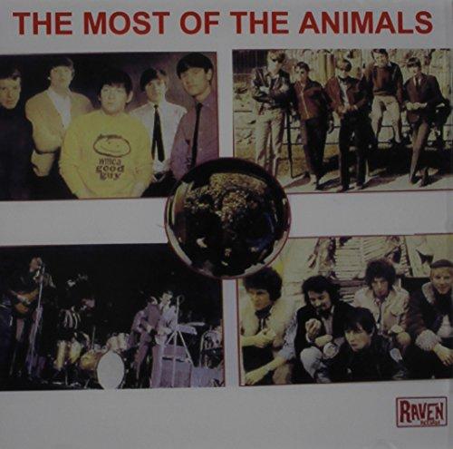 MOST OF THE ANIMALS