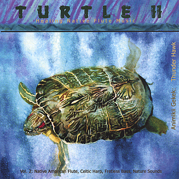 TURTLE II HEALING NATIVE FLUTE MUSIC