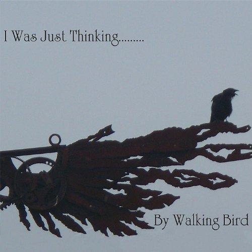 I WAS JUST THINKING... (CDR)