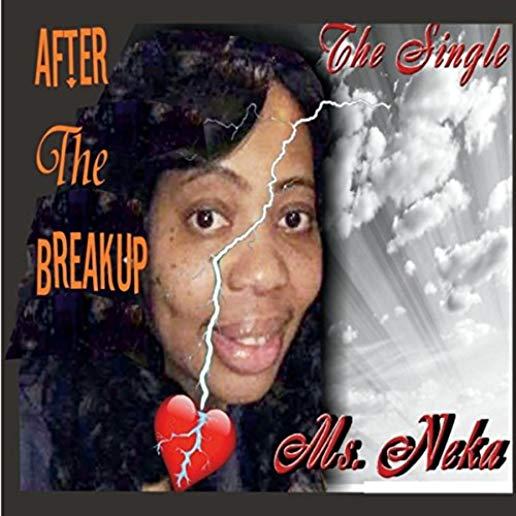 AFTER THE BREAKUP (CDRP)