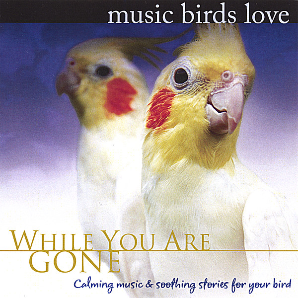 MUSIC BIRDS LOVE: WHILE YOU ARE GONE