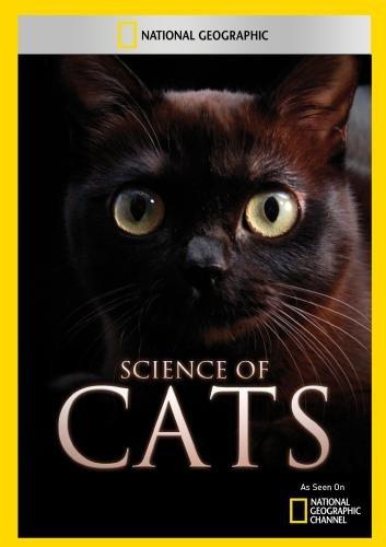 SCIENCE OF CATS / (MOD NTSC)