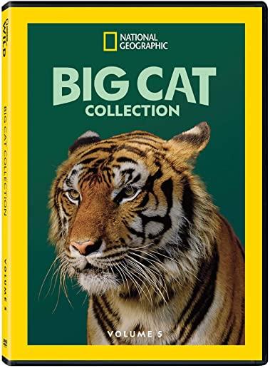 BIG CAT COLLECTION 5 / (MOD)