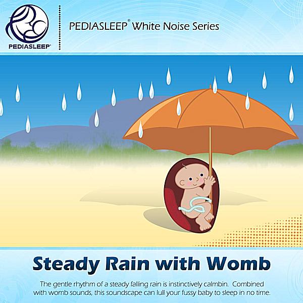 STEADY RAIN WITH WOMB (CDR)