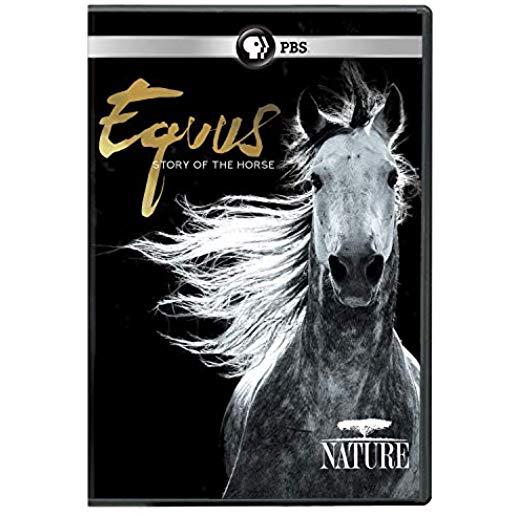 NATURE: EQUUS - STORY OF THE HORSE