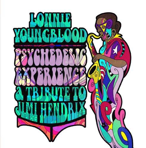 PSYCHEDELIC EXPERIENCE: TRIBUTE TO JIMI HENDRIX