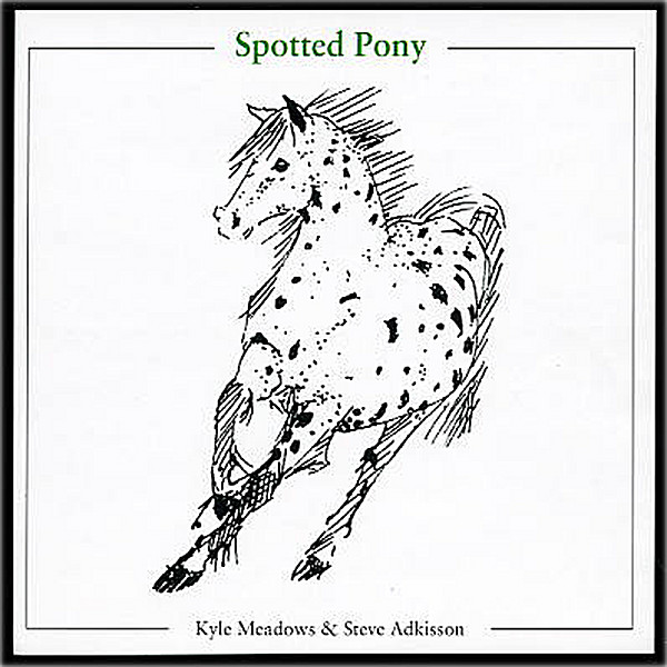 SPOTTED PONY
