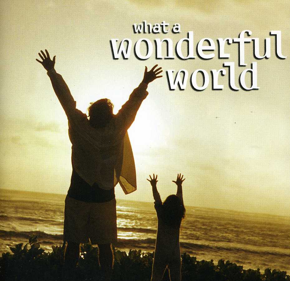 WHAT A WONDERFUL WORLD / VARIOUS