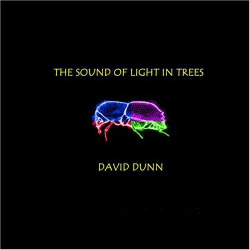 SOUND OF LIGHT IN TREES