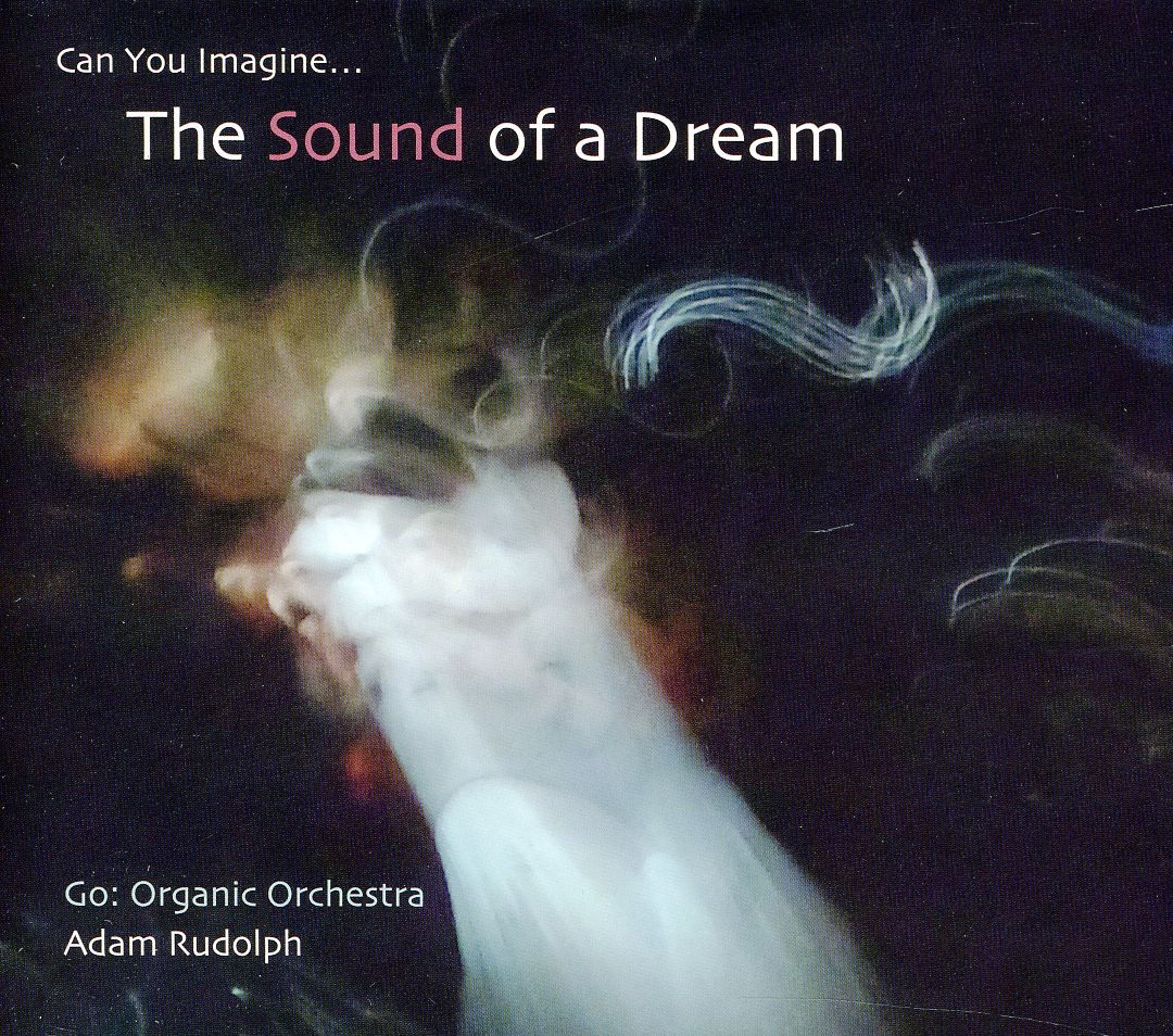 GO: ORGANIC ORCHESTRA - CAN YOU IMAGINE THE SOUND