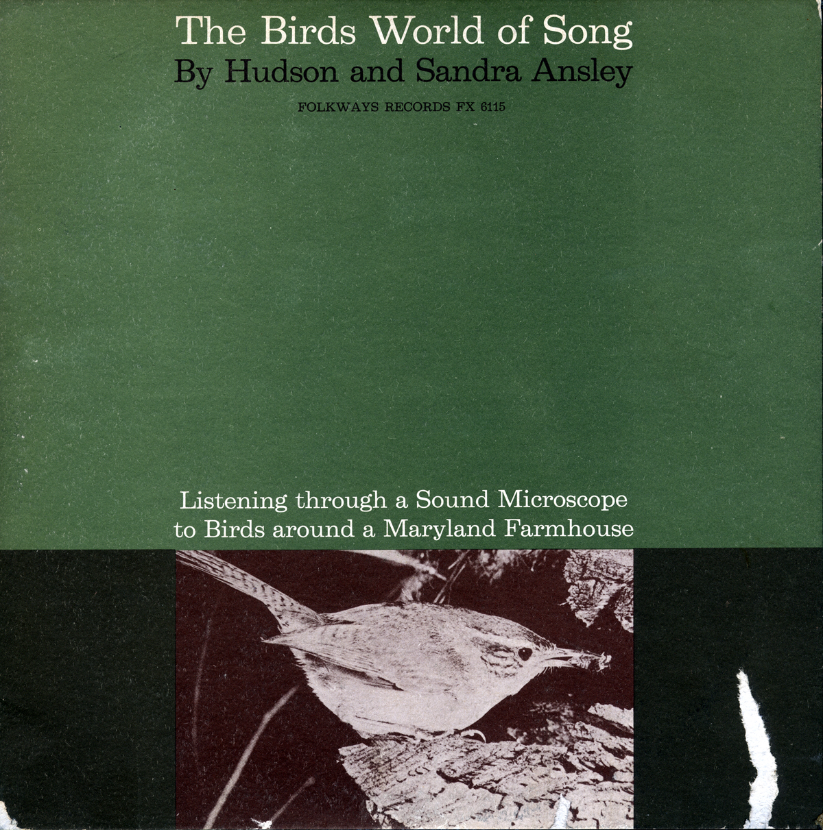 BIRDS WORLD OF SONG / VAR