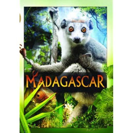 MADAGASCAR / (MOD NTSC)