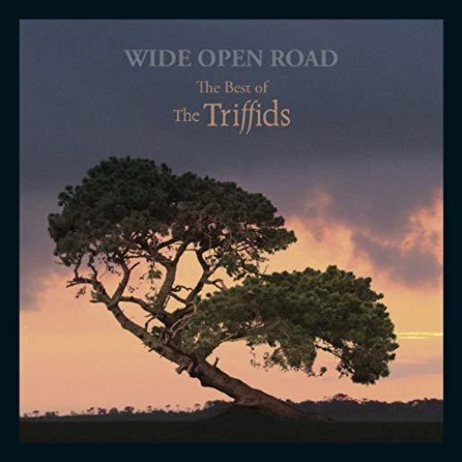 WIDE OPEN ROAD: BEST OF THE TRIFFIDS (UK)