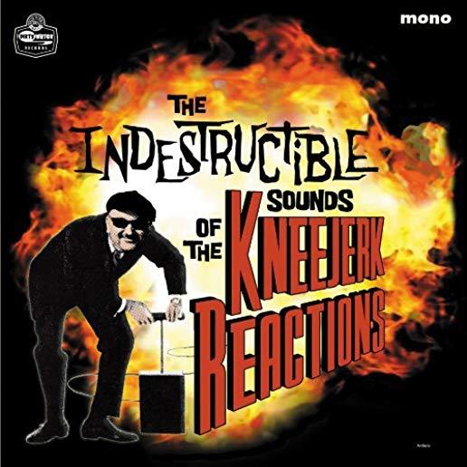 INDESTRUCTIBLE SOUNDS OF