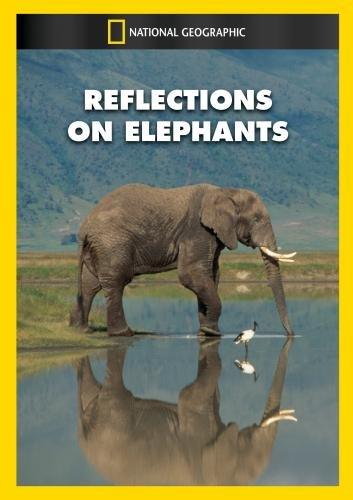 REFLECTIONS ON ELEPHANTS / (MOD)