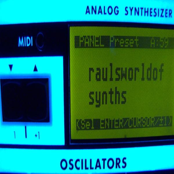 RAUL'S WORLD OF SYNTHS