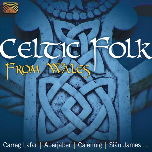 CELTIC FOLK FROM WALES / VARIOUS