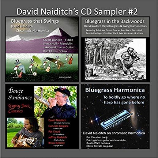 DAVID NAIDITCH'S CD SAMPLER 2