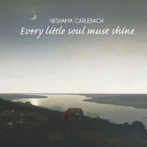 EVERY LITTLE SOUL MUST SHINE (DIG)