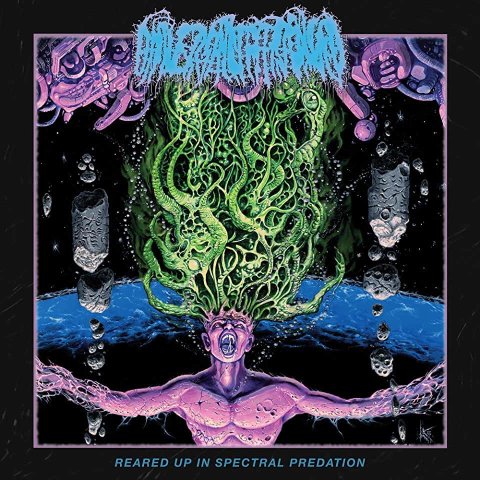REARED UP IN SPECTRAL PREDATION (UK)