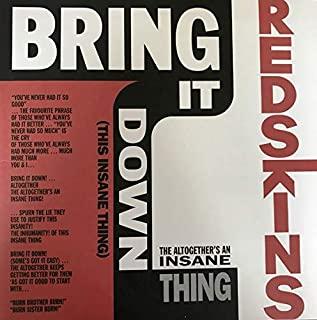 BRING IT DOWN (THIS INSANE THING) (10IN)