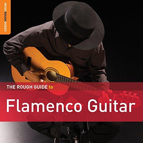 ROUGH GUIDE TO FLAMENCO GUITAR (DLCD)