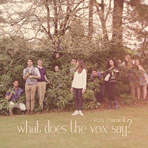 WHAT DOES THE VOX SAY (CDRP)