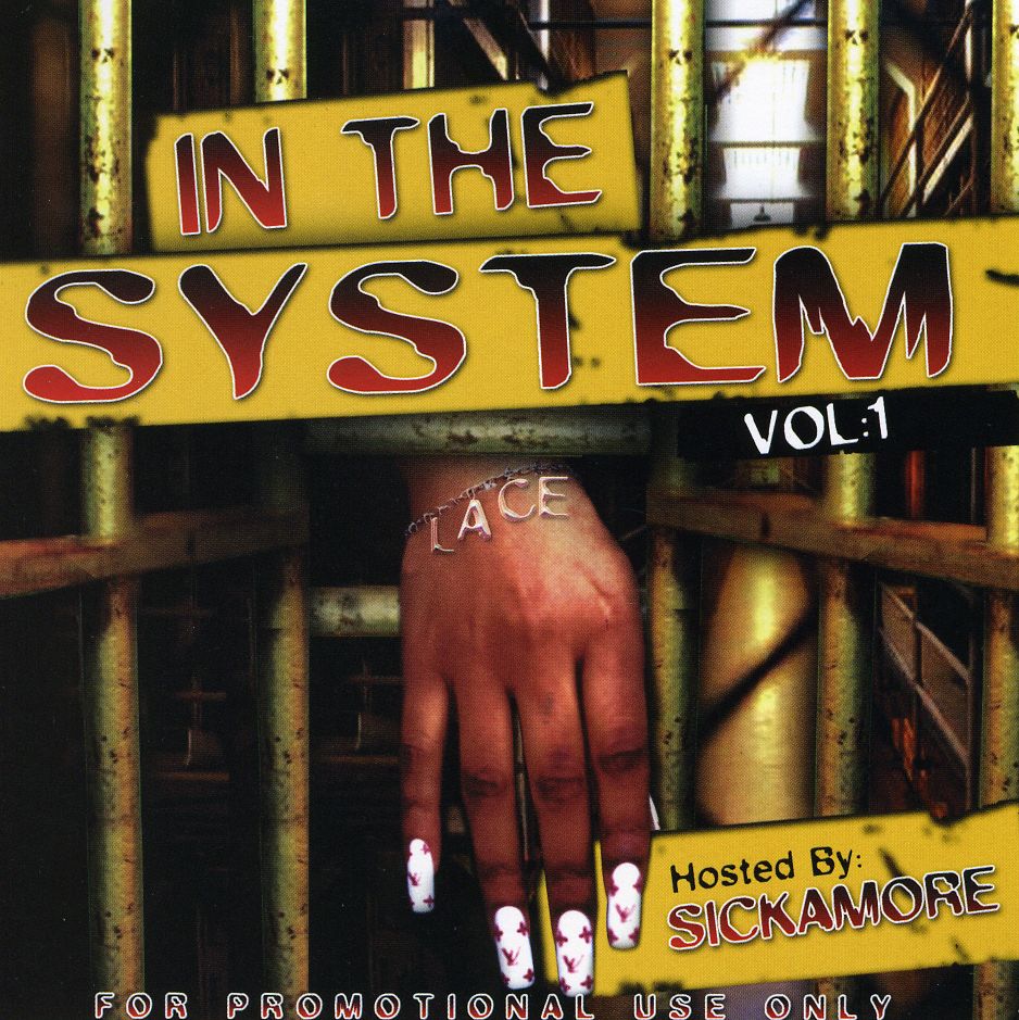 IN THE SYSTEM 1