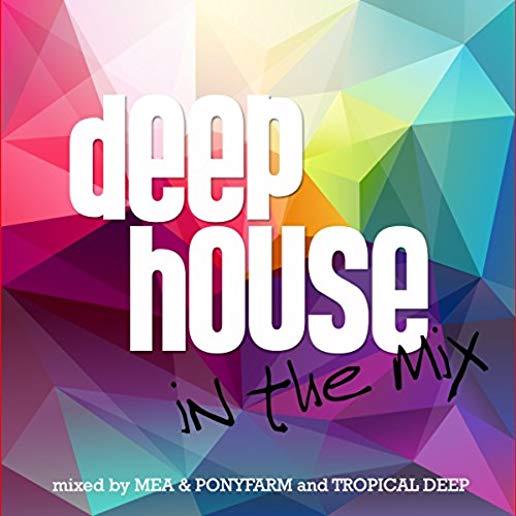 DEEP HOUSE IN THE MIX / VA