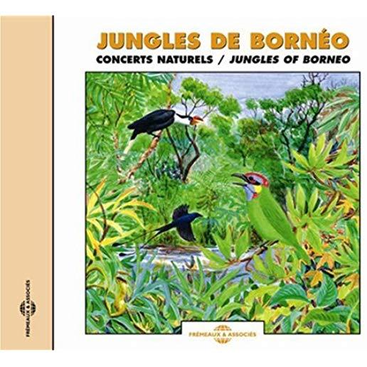 JUNGLES OF BORNEO
