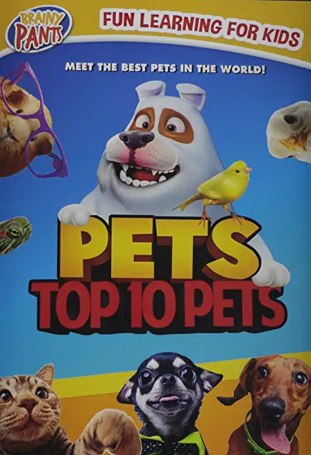 PETS: TOP 10 PETS