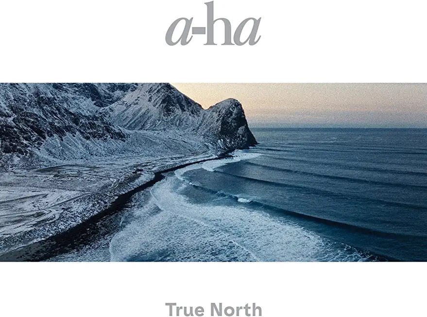 TRUE NORTH (UK)