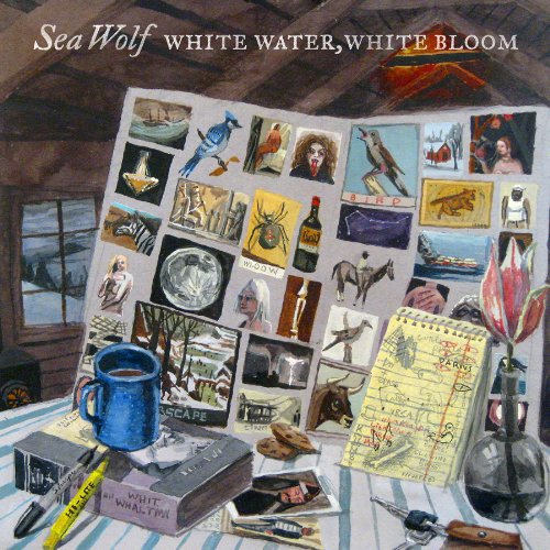 WHITE WATER WHITE BLOOM (OGV) (DLCD)
