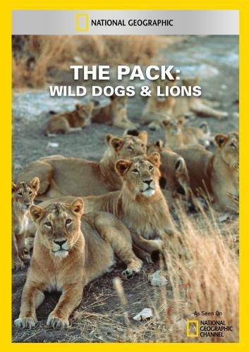 PACK: WILD DOGS & LIONS / (MOD NTSC)