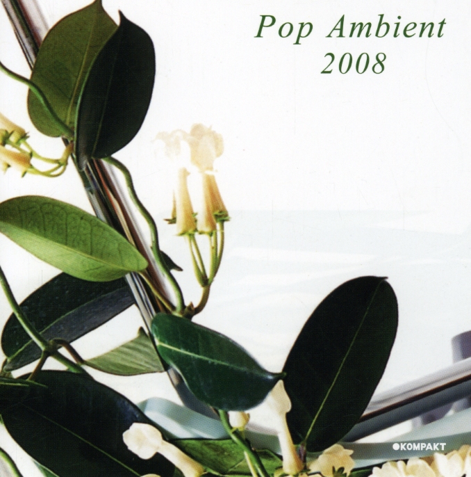 POP AMBIENT 2008 / VARIOUS