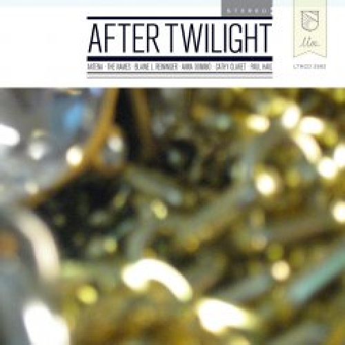 AFTER TWILIGHT / VARIOUS