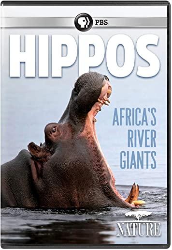 NATURE: HIPPOS - AFRICA'S RIVER GIANTS