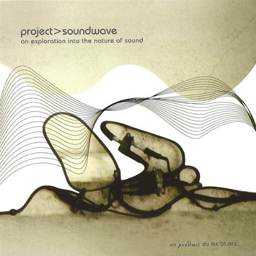 PROJECT SOUNDWAVE: EXPLORATION INTO THE NATURE OF