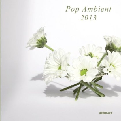 POP AMBIENT 2013 / VARIOUS (W/CD)