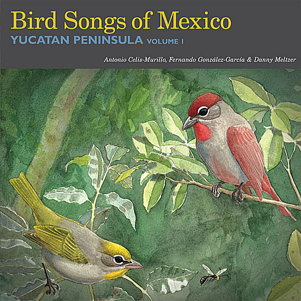 BIRD SONGS OF MEXICO: YUCATAN PENINSULA 1
