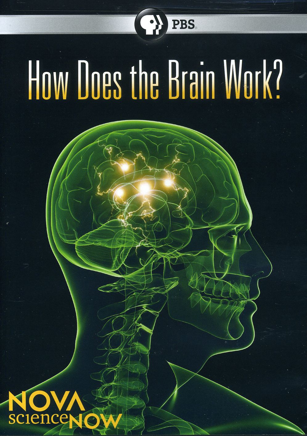 NOVA SCIENCE NOW: HOW DOES THE BRAIN WORK