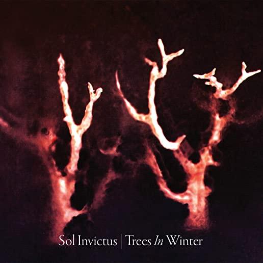 TREES IN WINTER (DIG)
