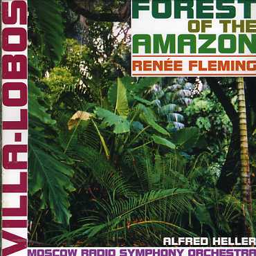 FOREST OF THE AMAZON