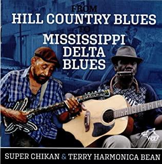 FROM HILL COUNTRY TO MISSISSIPPI DELTA BLUES